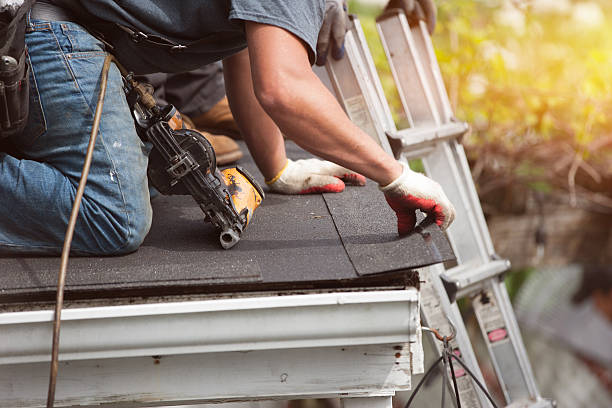 Best Roof Gutter Cleaning  in Muniz, TX